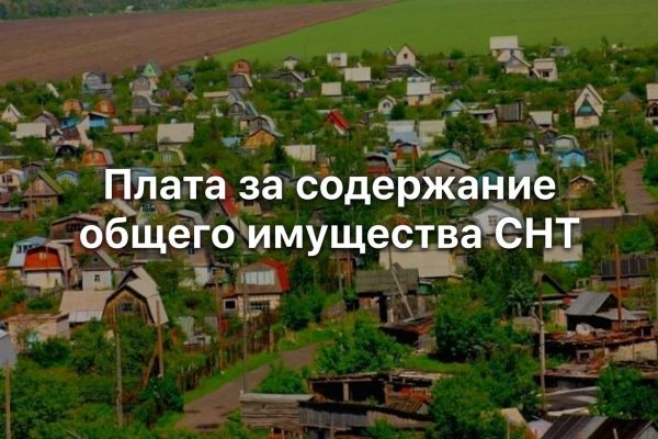 КС: закон не содержит ограничений на проведение экспертизы по расходам СНТ на содержание общего имущества